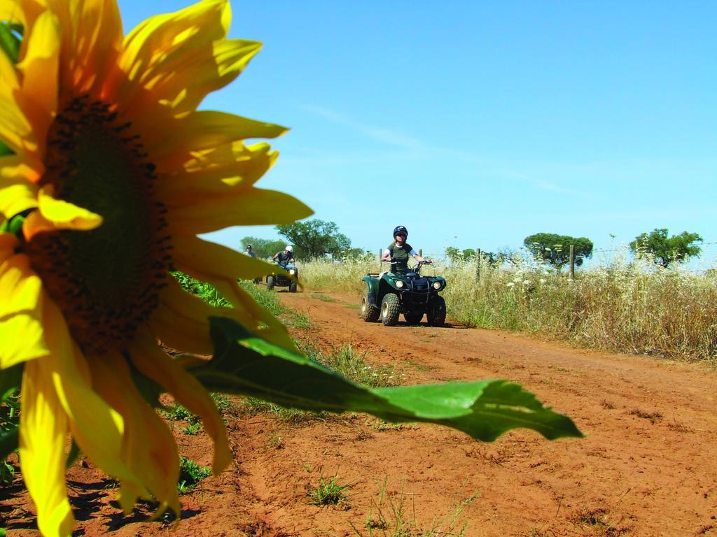 Vila Gale Alentejo Vineyard - Clube De Campo อัลแบร์โนอา ภายนอก รูปภาพ