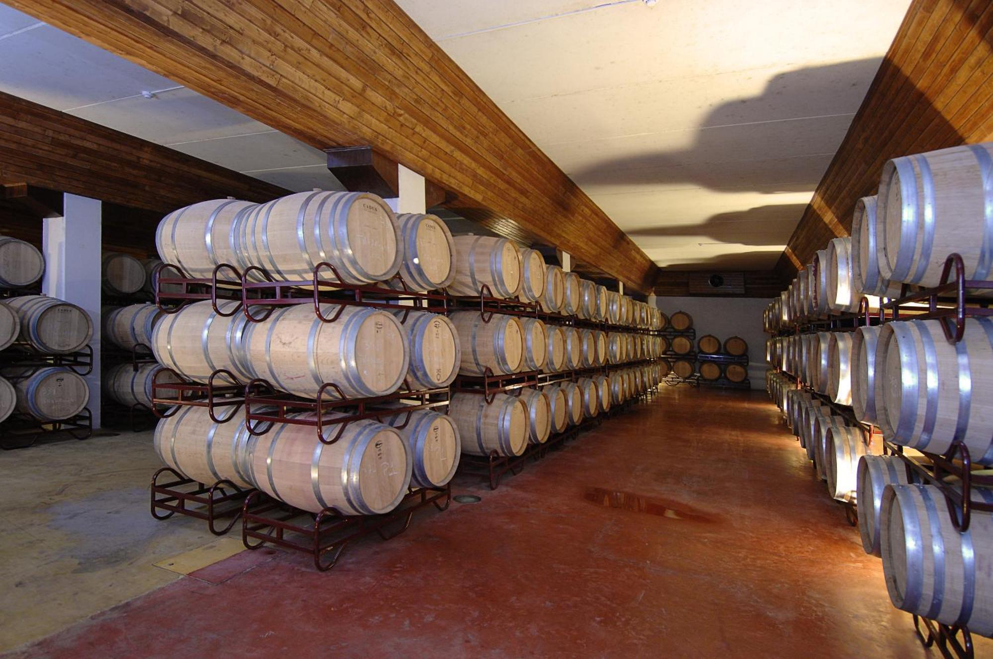 Vila Gale Alentejo Vineyard - Clube De Campo อัลแบร์โนอา ภายนอก รูปภาพ