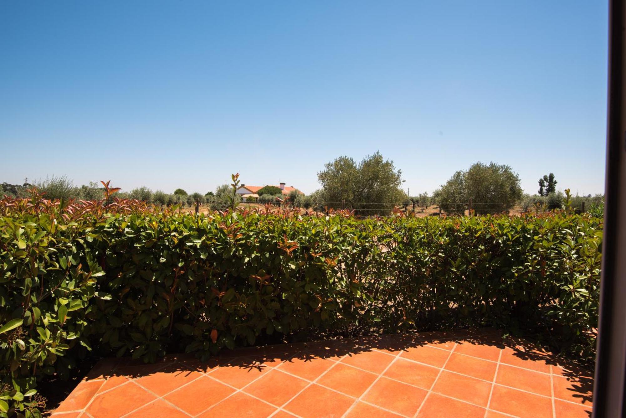 Vila Gale Alentejo Vineyard - Clube De Campo อัลแบร์โนอา ภายนอก รูปภาพ