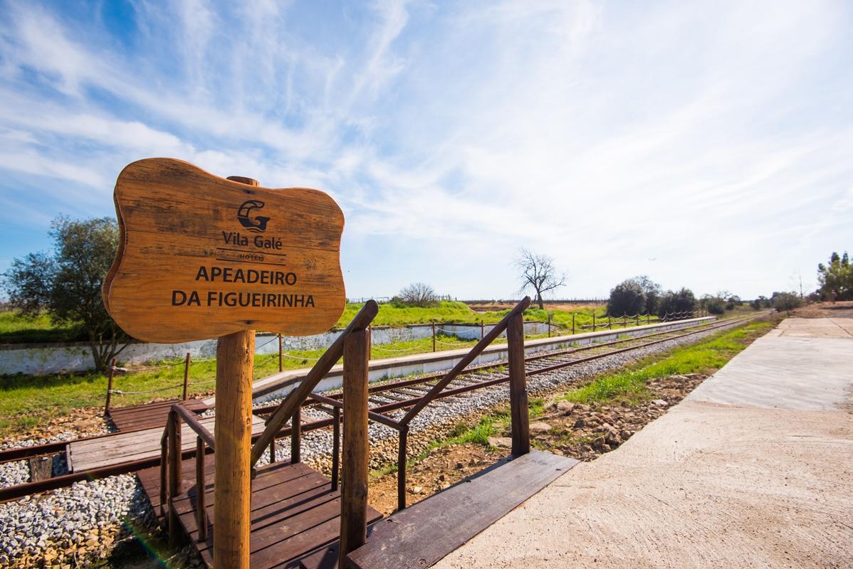 Vila Gale Alentejo Vineyard - Clube De Campo อัลแบร์โนอา ภายนอก รูปภาพ