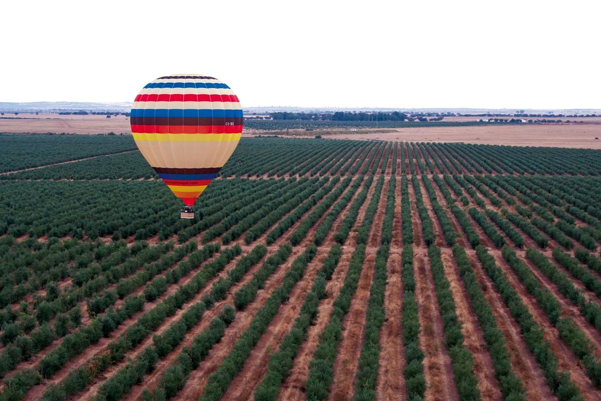 Vila Gale Alentejo Vineyard - Clube De Campo อัลแบร์โนอา ภายนอก รูปภาพ