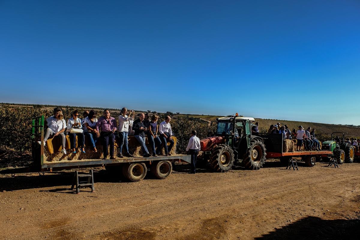 Vila Gale Alentejo Vineyard - Clube De Campo อัลแบร์โนอา ภายนอก รูปภาพ