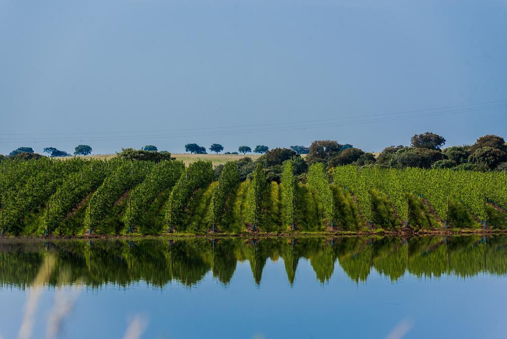 Vila Gale Alentejo Vineyard - Clube De Campo อัลแบร์โนอา ภายนอก รูปภาพ